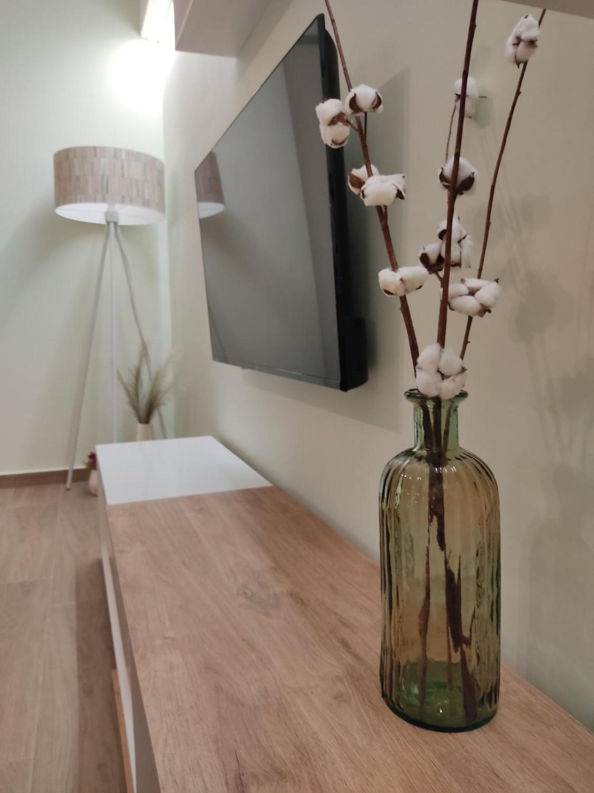 Aliki'S Studio 1 Калампака Екстериор снимка
